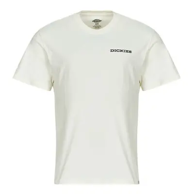 Dickies LANDASCAPE SS TEE men's T shirt in White