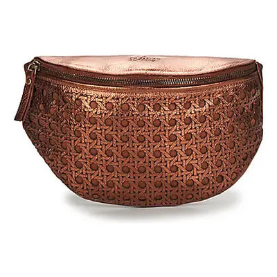 Betty London SOKYN women's Hip bag in Gold