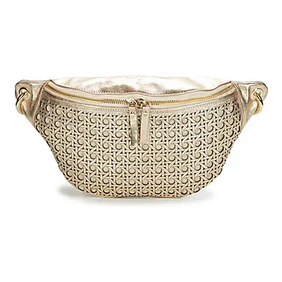 Betty London SOKYN women's Hip bag in Gold