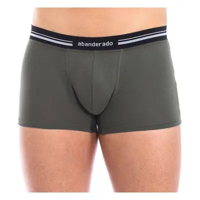 Abanderado A077I-1OK men's Boxers in Green