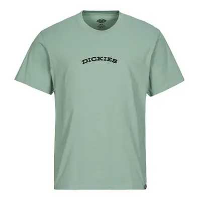 Dickies DICKIES OUTDOOR SS TEE men's T shirt in Green