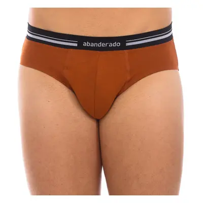 Abanderado A077H-1PO men's Underpants / Brief in Brown