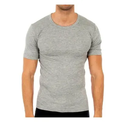 Abanderado 0806-GRIS men's T shirt in Grey