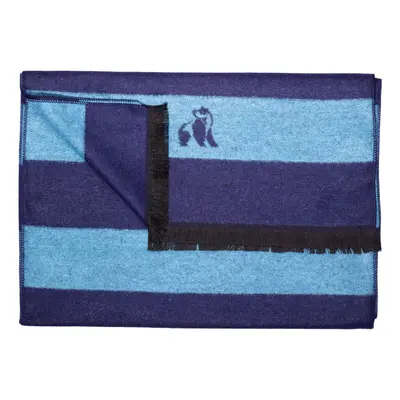 Sky Blue Stripe Bamboo Scarf