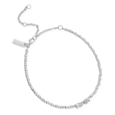 ChloBo Silver Mini Cute Lucky Elephants Anklet For Women