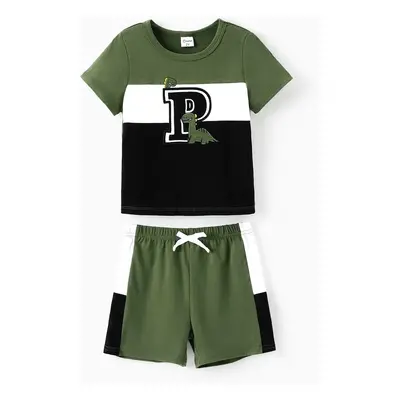 Toddler Boy/Girl 2pcs Colorblock Tee and Shorts Set