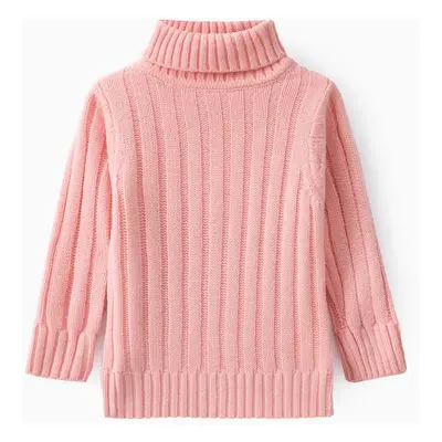 Toddler Girl/Boy Turtleneck Ribbed Knit Sweater