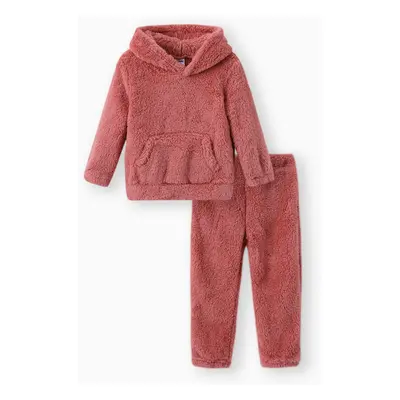 Toddler Girl/Toddler Boy 2pcs Fuzzy Hoodie Sweatshirt and Pants Set