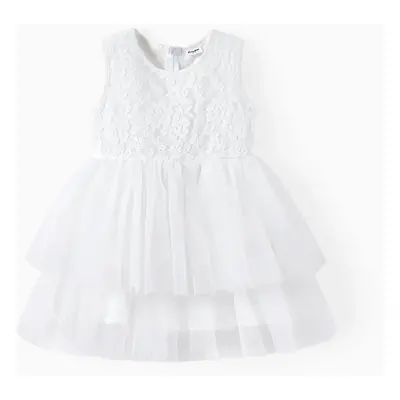 Toddler Girl Double-layered Mesh Floral Lace Tulle Dress