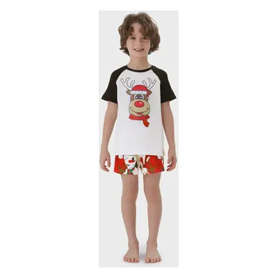 Christmas Family Matching Short-sleeve Graphic Tee & Shorts Pajamas Sets