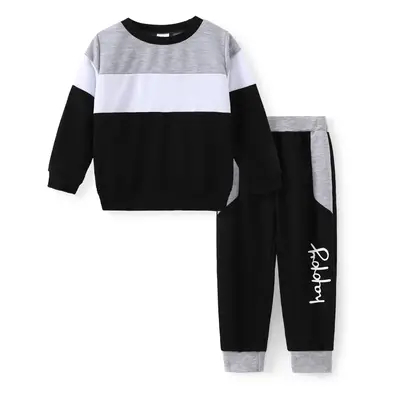 Toddler Boy/Girl 2pcs Colorblock Sweatshirt and Pants Set