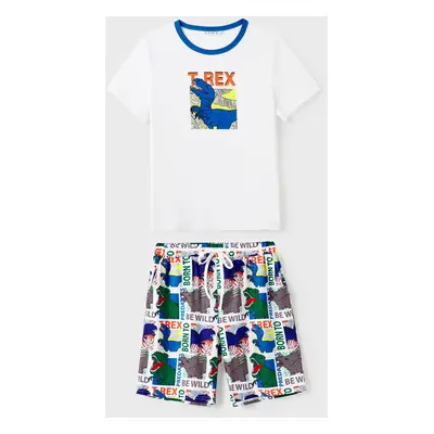 Family Matching T-REX Short-Sleeve Tee and Allover Dinosaur Shorts Pajamas Sets