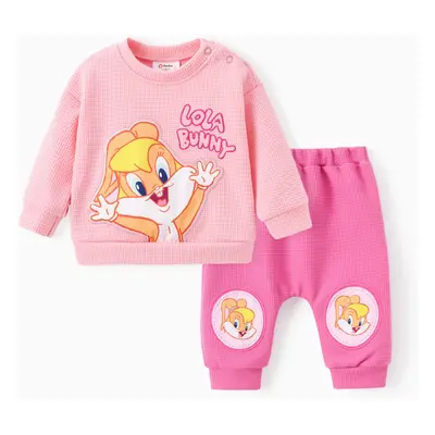 Looney Tunes Baby Boy/Girl 2pcs Character Embroidered Long-sleeve Knitted Top And Pants Set