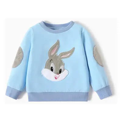 Looney Tunes Baby Boy/Girl Animal Embroidered Long-sleeve Sweatshirt/ Sweatpants/ Vest