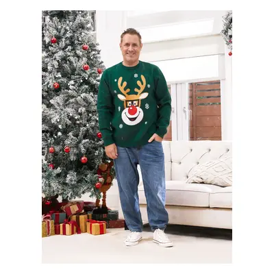 Green Christmas Sweater Matching Outfits Reindeer in Glasses Graphic Long Sleeves