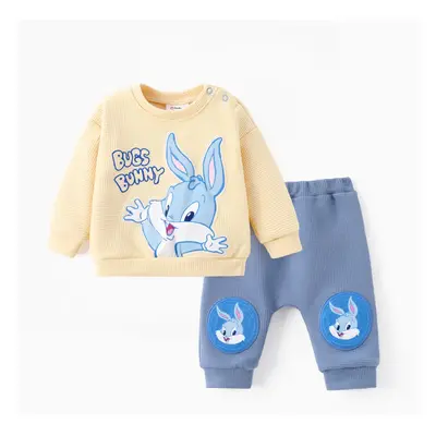 Looney Tunes Baby Boy/Girl 2pcs Character Embroidered Long-sleeve Knitted Top And Pants Set