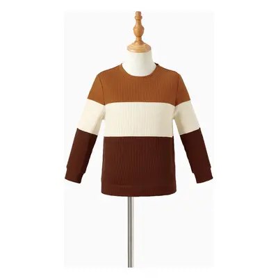 Family Matching Belted Long Sleeve Mesh Dresses and Color-Block Long Sleeve Sweater Sets