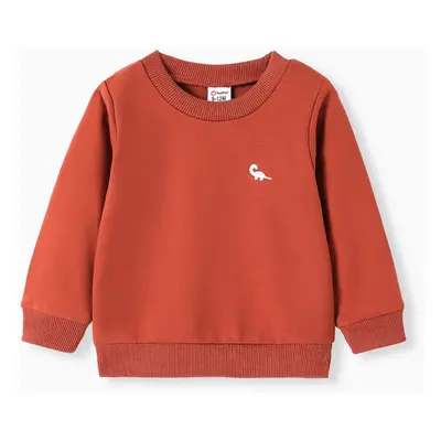 Baby Boy Animal Pattern Dinosaur Embroidery Long Sleeves Sweatshirt