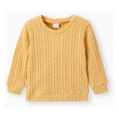 Toddler Girl/Toddler Boy Solid Textured Sweater