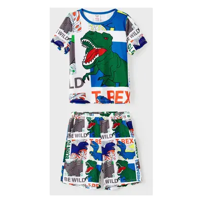 Family Matching T-REX Short-Sleeve Tee and Allover Dinosaur Shorts Pajamas Sets