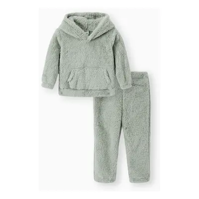 Toddler Girl/Toddler Boy 2pcs Fuzzy Hoodie Sweatshirt and Pants Set