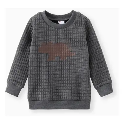 Toddler Boy Letter Dinosaur Print Textured Pullover Sweatshirt