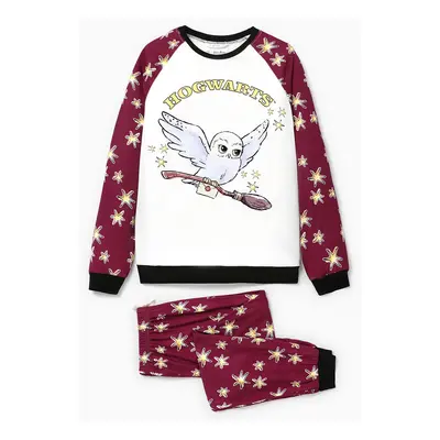 Harry Potter Pajamas - Family Christmas PJs with Letter & Character Print (Raglan Sleeve)