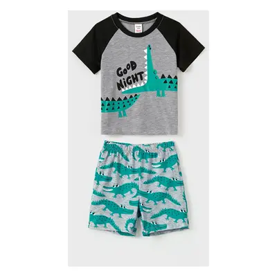 Family Matching Cartoon Crocodile Printed Raglan Sleeves Pajamas Sets