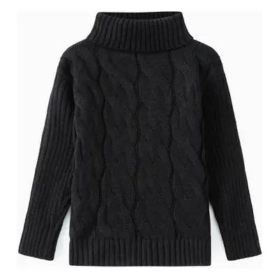 Toddler Girl/Boy Solid Cable Knit Turtleneck Sweater