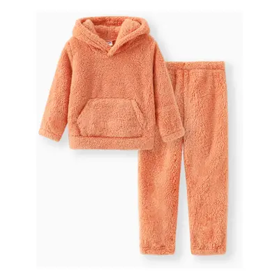 Toddler Girl/Toddler Boy 2pcs Fuzzy Hoodie Sweatshirt and Pants Set