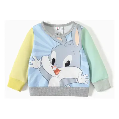 Looney Tunes Baby Boy/Girl Cartoon Print Colorblock Long-sleeve Sweatshirt