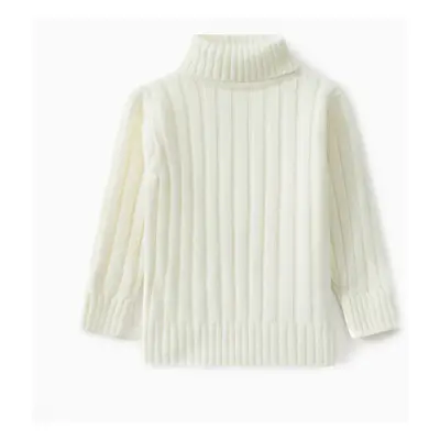 Toddler Girl/Boy Turtleneck Ribbed Knit Sweater