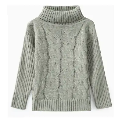 Toddler Girl/Boy Solid Cable Knit Turtleneck Sweater