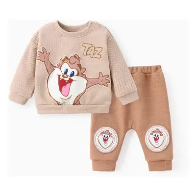 Looney Tunes Baby Boy/Girl 2pcs Character Embroidered Long-sleeve Knitted Top And Pants Set