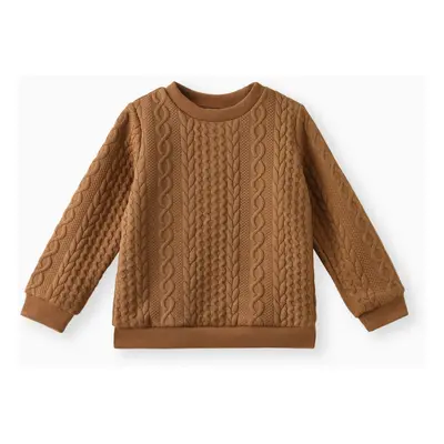 Kid Boy Casual Cable Knit Textured Sweatshirt