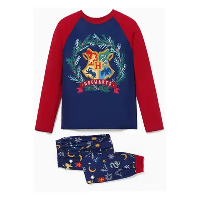 Harry Potter Christmas Family Matching Character Print Long-sleeve Pajamas Sets (Flame Resistant