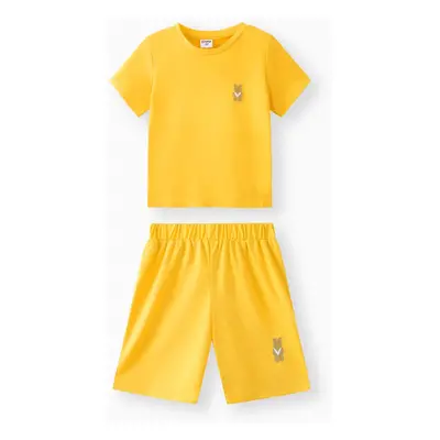 Toddler Boy 2pcs Casual Solid Tee and Shorts Set