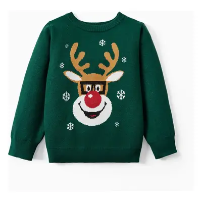 Green Christmas Sweater Matching Outfits Reindeer in Glasses Graphic Long Sleeves