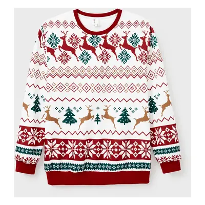 Christmas Sweatshirt Allover Pattern Reindeer Outfits Matching for Family