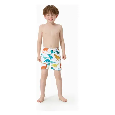 Family Matching All Over Multicolor Dinosaur Print Swim Trunks Shorts and Ruffle Two-Piece Swims