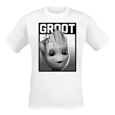 Guardians Of The Galaxy Groot - Square T-Shirt white