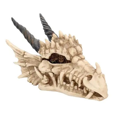 Nemesis Now Dragon Skull Box Decoration Articles multicolor