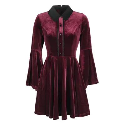 Hell Bunny Prudence Dress Short dress burgundy