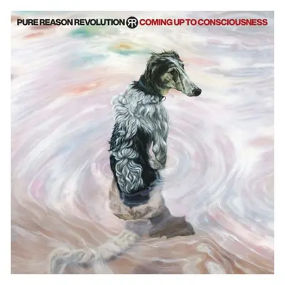 Pure Reason Revolution Coming up to consciousness CD multicolor