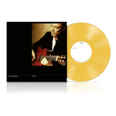 Steve Hackett Tribute LP multicolor