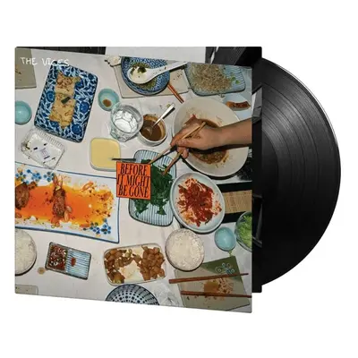 The Vices Before it Might be Gone LP multicolor