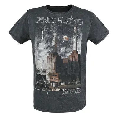 Pink Floyd Animals T-Shirt charcoal