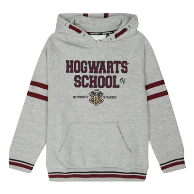 Harry Potter Kids - Hogwarts School Hoodie Sweater multicolour