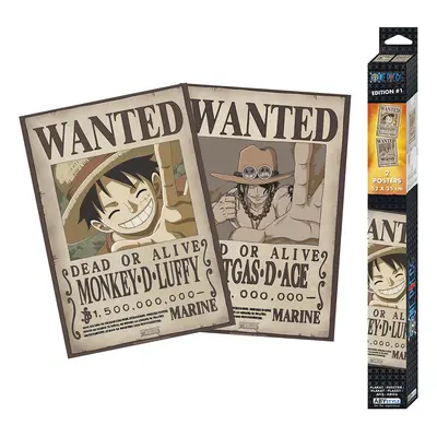 One Piece Wanted Poster multicolour