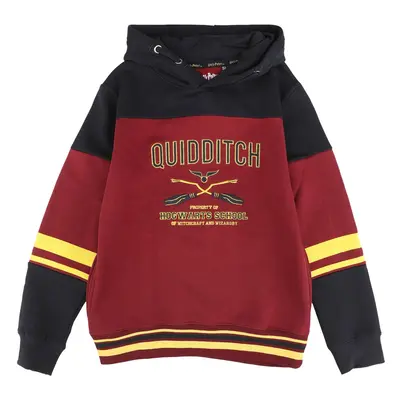 Harry Potter Kids - Gryffindor - Hogwarts School Hoodie Sweater multicolour